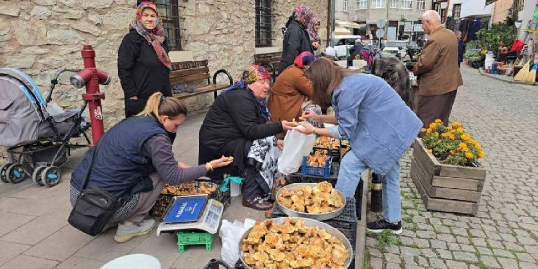 Tezgaha indi, kapış kapış gitti! Kilosu 500 TL: Bu yıl bolluk fışkırıyor 2